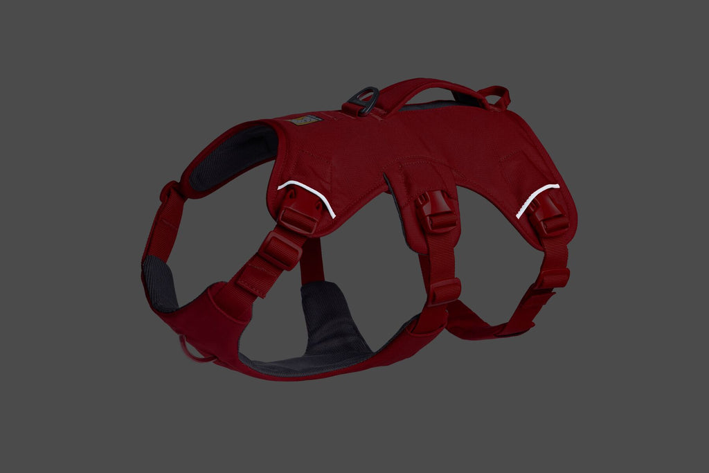 Web Master™ Dog Harness with Handle harness with neck buckle and handle - Dog.Dog.Cat.