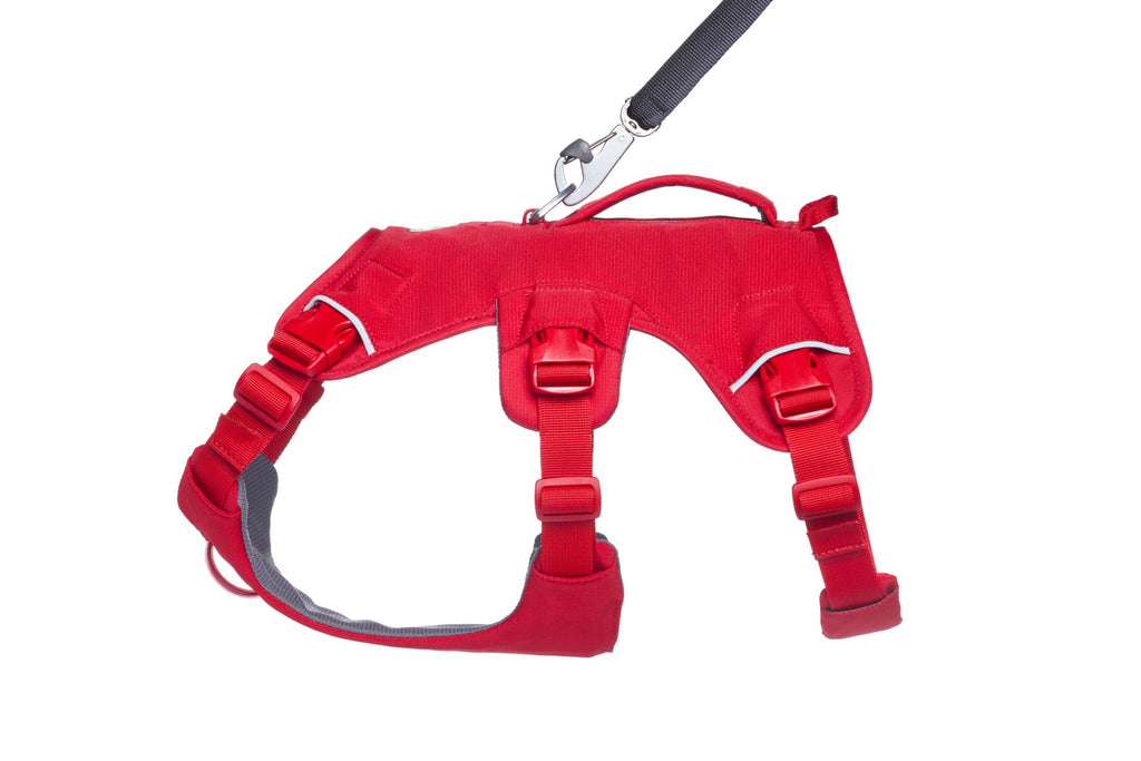 Web Master™ Dog Harness with Handle harness with neck buckle and handle - Dog.Dog.Cat.