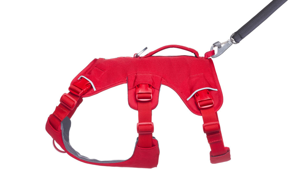 Web Master™ Dog Harness with Handle harness with neck buckle and handle - Dog.Dog.Cat.