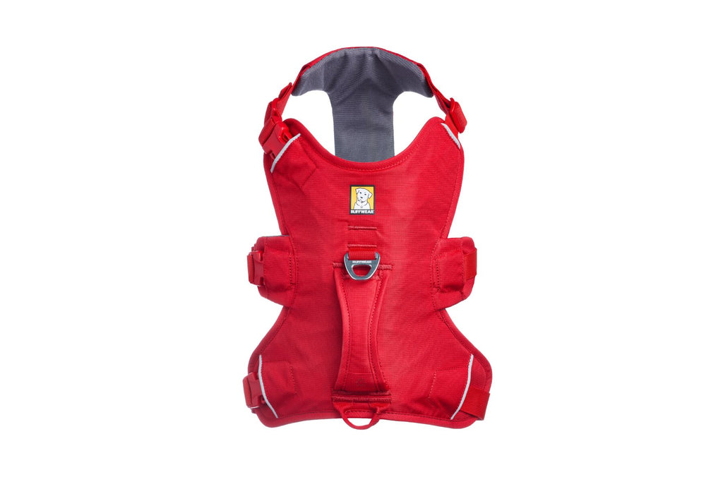 Web Master™ Dog Harness with Handle harness with neck buckle and handle - Dog.Dog.Cat.