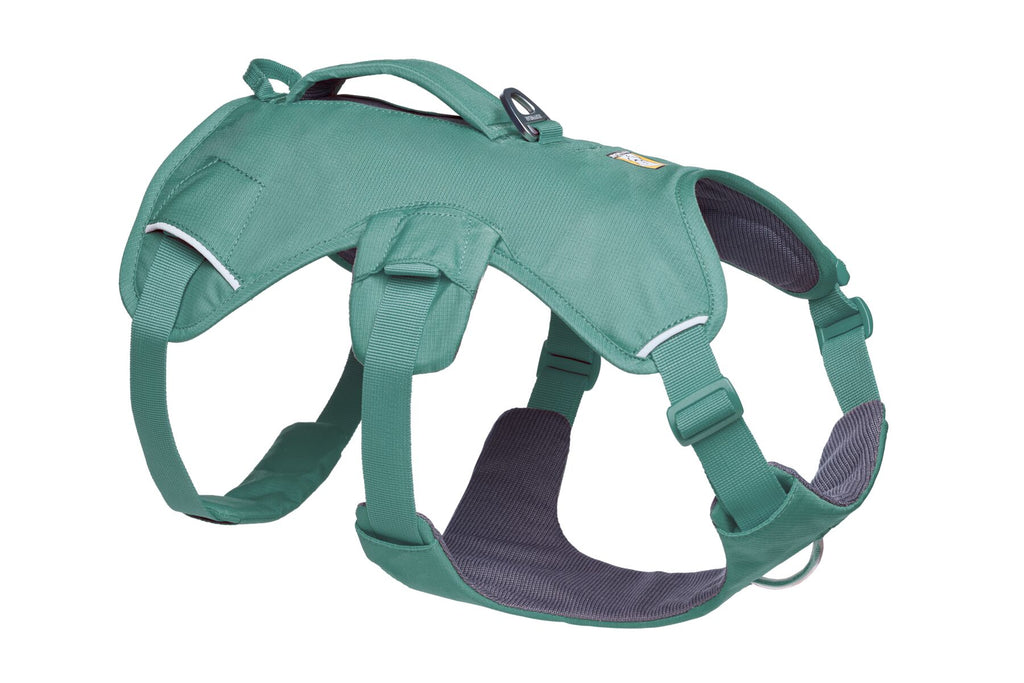 Web Master™ Dog Harness with Handle harness with neck buckle and handle - Dog.Dog.Cat.