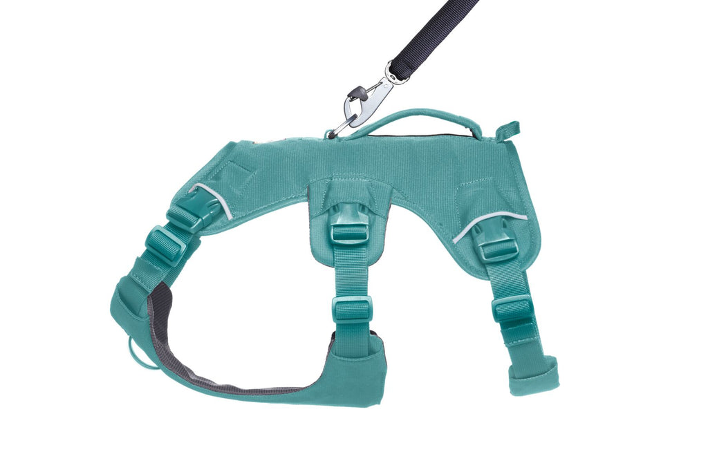 Web Master™ Dog Harness with Handle harness with neck buckle and handle - Dog.Dog.Cat.