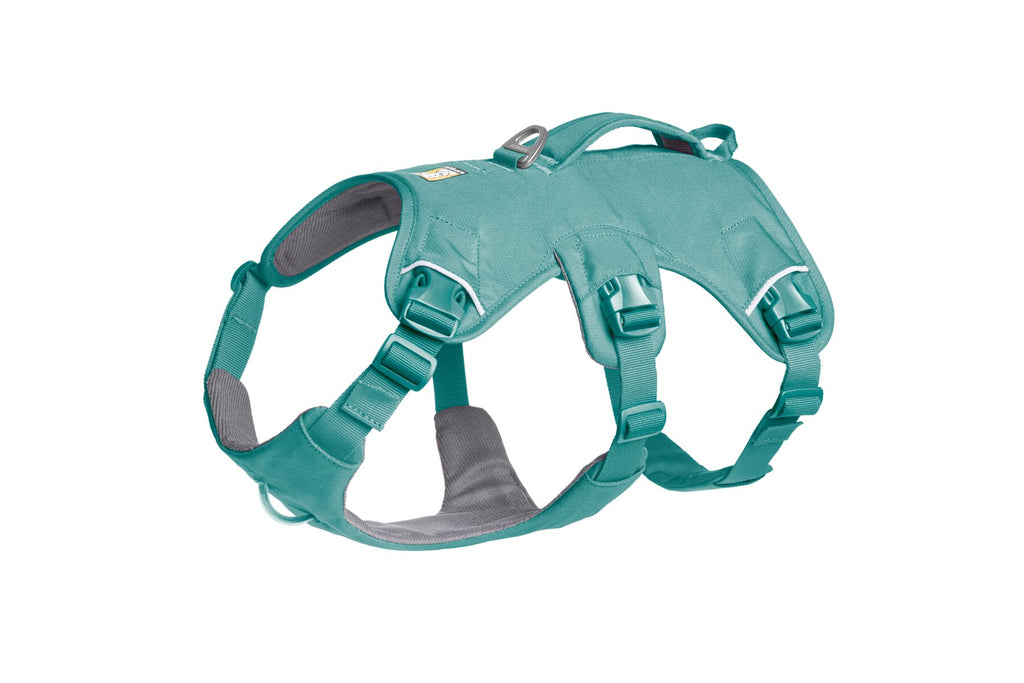 Web Master™ Dog Harness with Handle harness with neck buckle and handle - Dog.Dog.Cat.