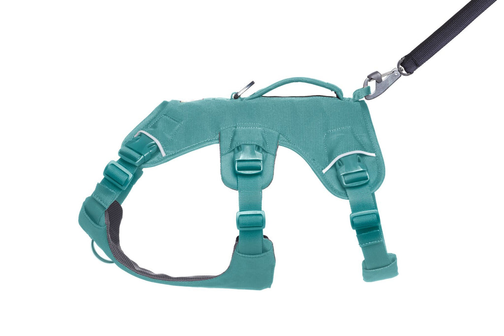 Web Master™ Dog Harness with Handle harness with neck buckle and handle - Dog.Dog.Cat.