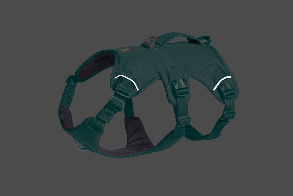 Web Master™ Dog Harness with Handle harness with neck buckle and handle - Dog.Dog.Cat.