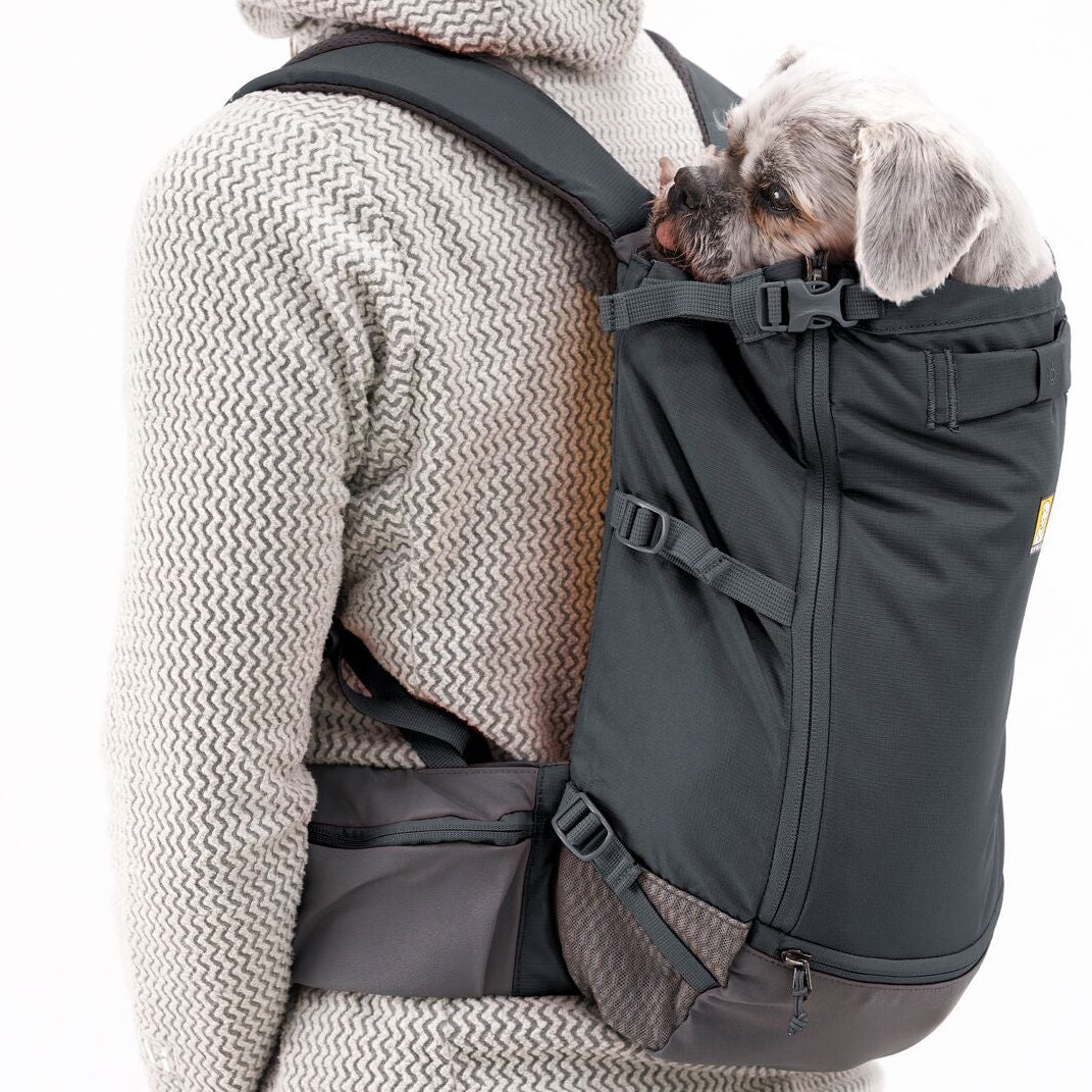 Hitch Hiker Dog Backpack Carrier River Rock Green / Small