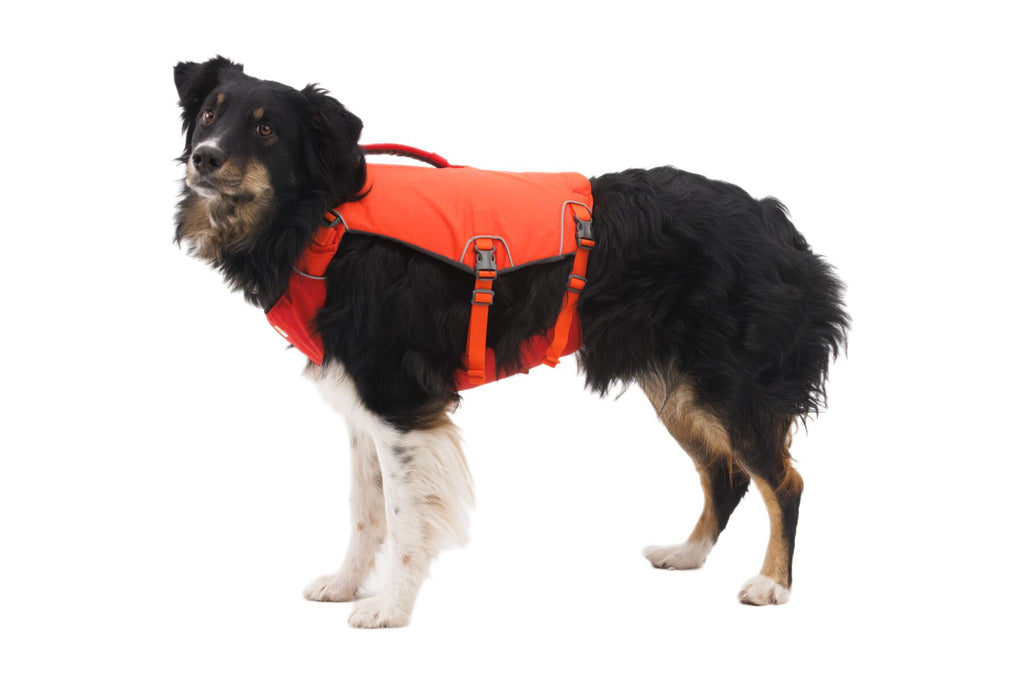 Confluence™ Life Jacket - Dog.Dog.Cat.