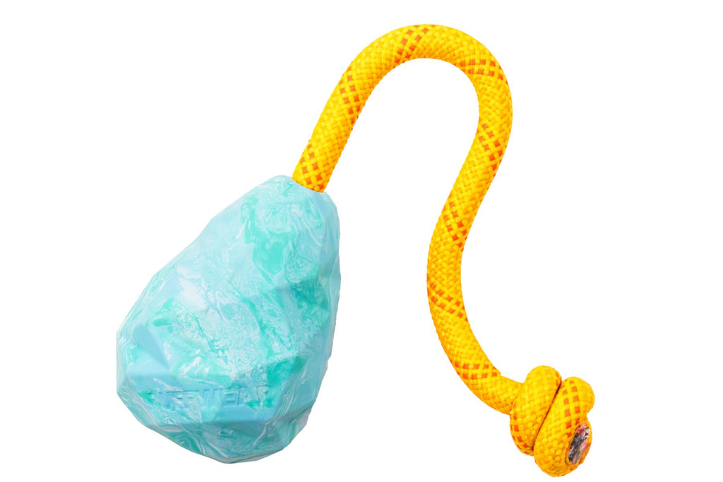 Huck-a-Cone™ Toy - Dog.Dog.Cat.