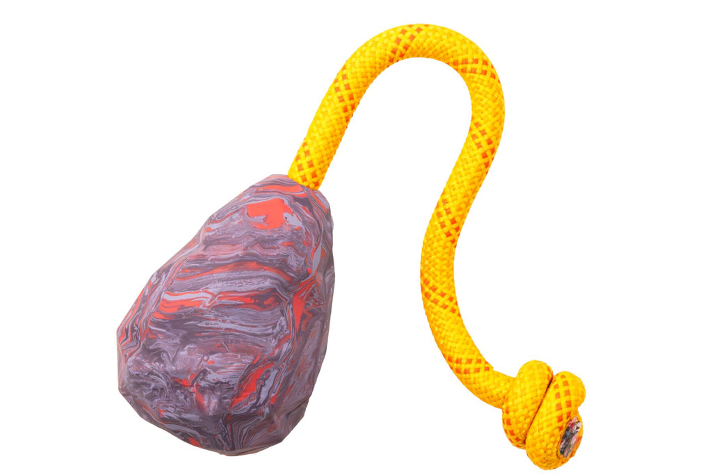 Huck-a-Cone™ Toy - Dog.Dog.Cat.