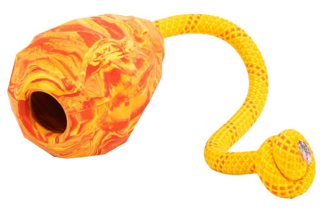 Huck-a-Cone™ Toy - Dog.Dog.Cat.