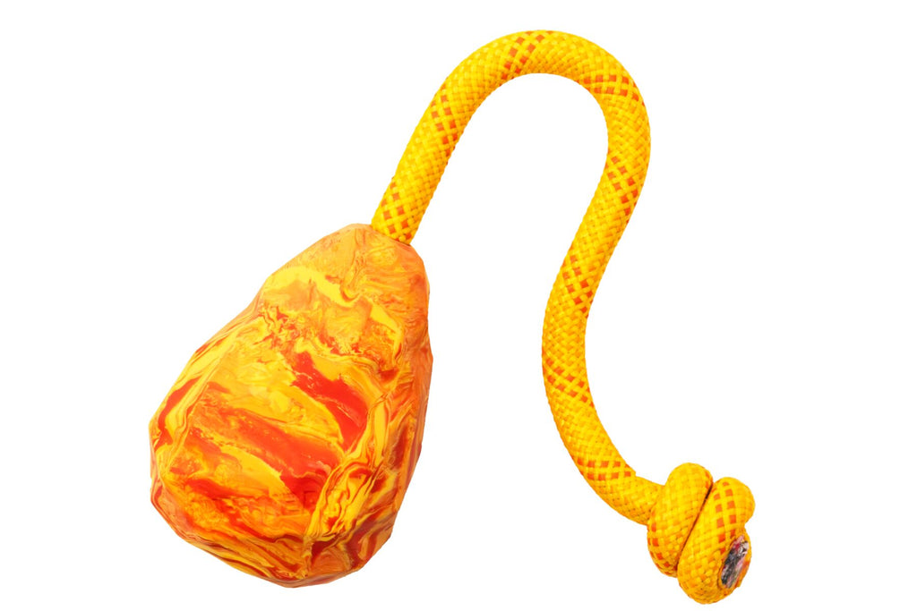 Huck-a-Cone™ Toy - Dog.Dog.Cat.