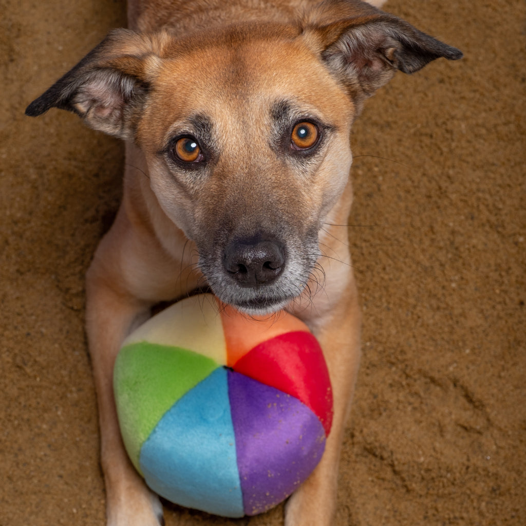 Fluff and Tuff Dog Toy-Beach Ball - Dog.Dog.Cat.