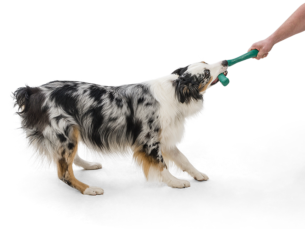 West Paw - Snorkl® Dog Toy for Play, Tug, and Fetch - Dog.Dog.Cat.