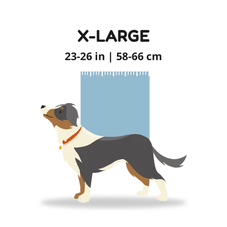 K9 Sport Sack Knavigate-Grey : Med - Dog.Dog.Cat.