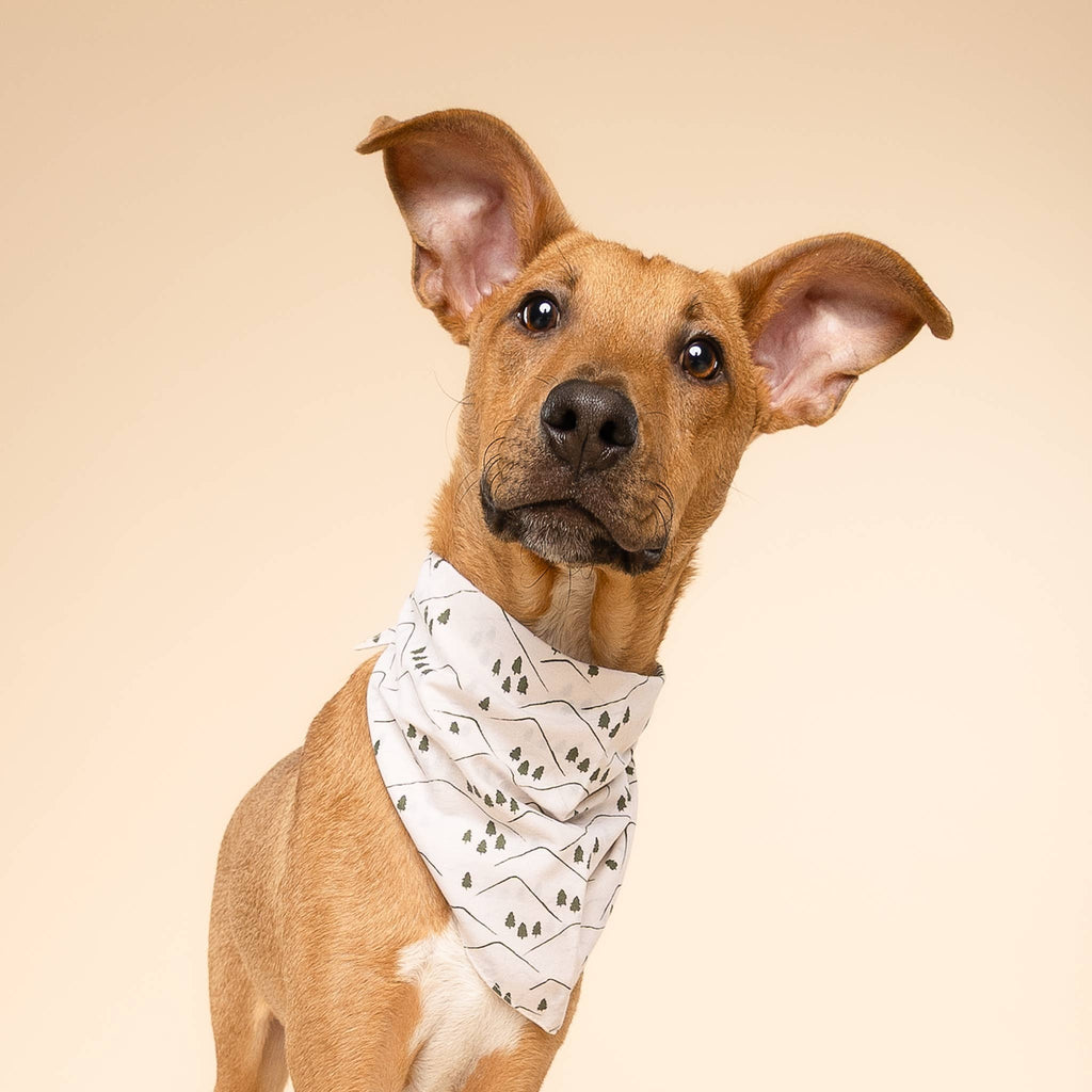 The Paws - Roam Dog Bandana - Dog.Dog.Cat.