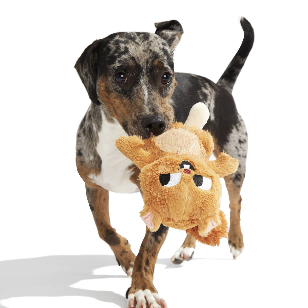 BARK Pearl Squirrel Plush Dog Toy - Dog.Dog.Cat.