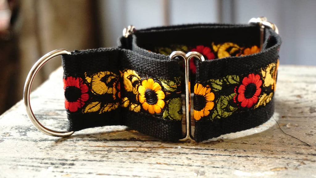 hundsfutter - Wide collar anti escape design - Dog.Dog.Cat.