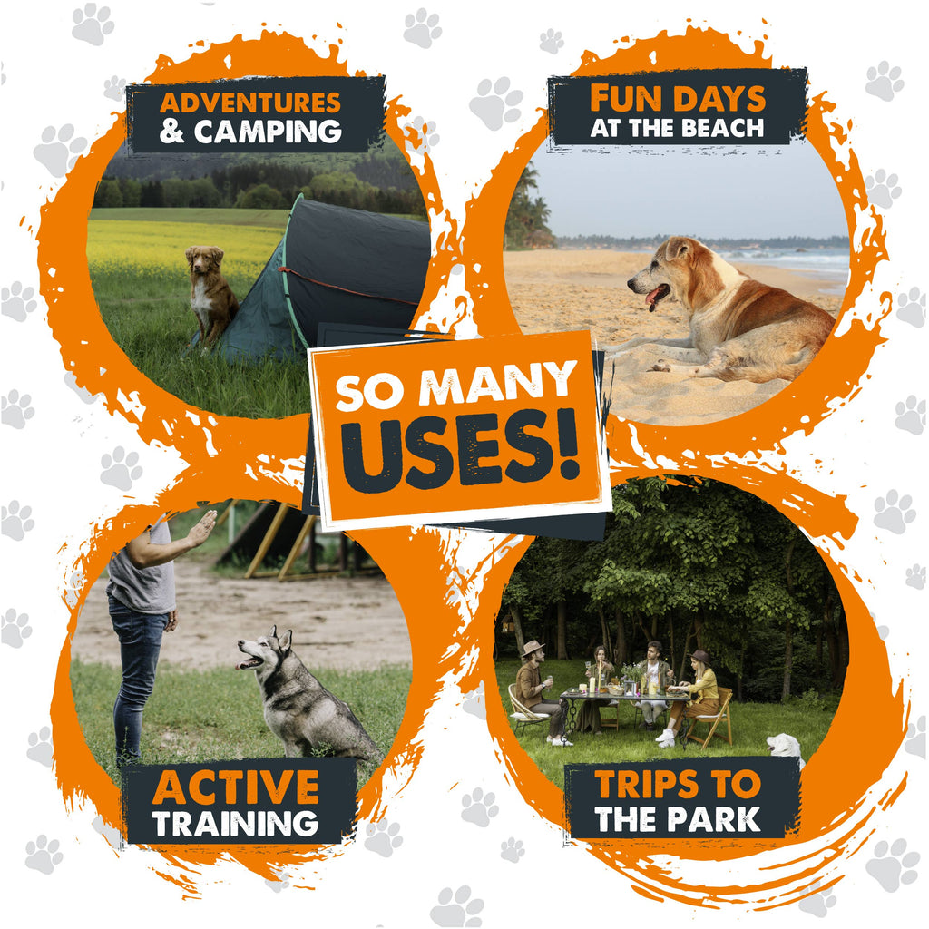 Mighty Paw - Durable Dog Tie Out Stake for Secure Outdoor Play - Dog.Dog.Cat.