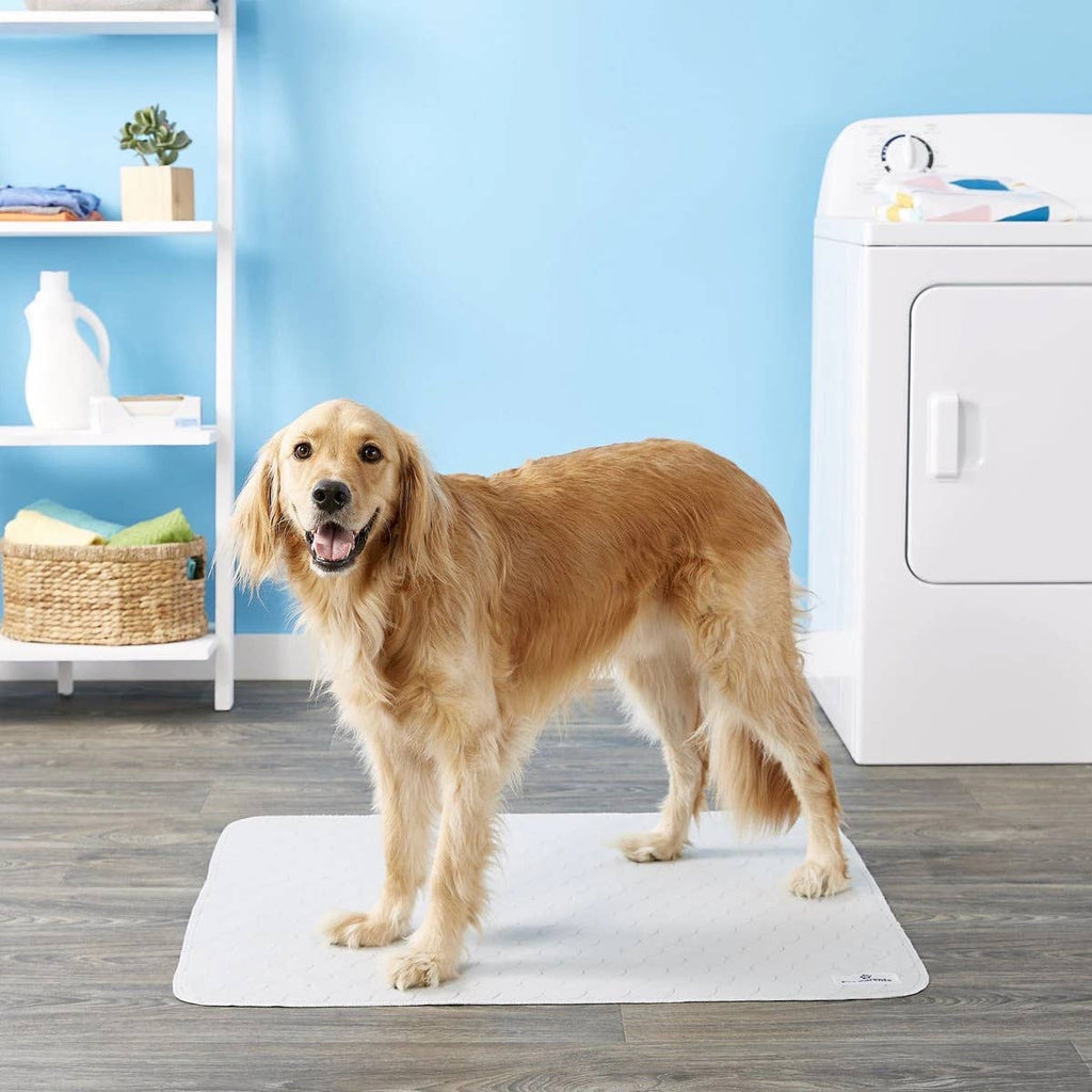 Pet Parents® - Pawtect® Pads, Premium Washable Dog Pee Pads - Dog.Dog.Cat.