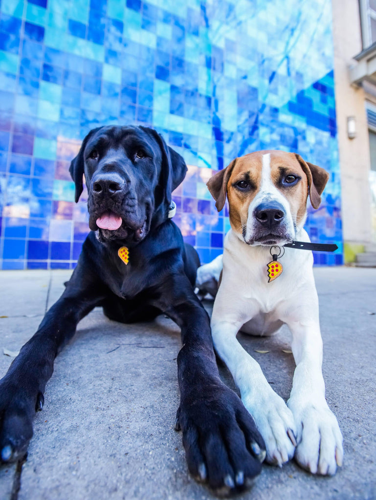 Besties Pets - Pizza Your Heart BFF Silicone Pet ID Tag Set - Dog.Dog.Cat.