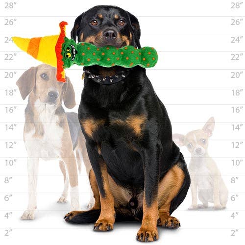 Mighty Tequila Worm - Green, Squeaky Dog Toy, No Stuffing - Dog.Dog.Cat.