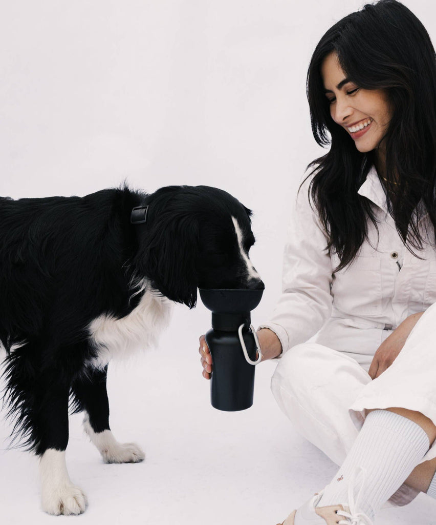 Dog Travel Water Bottle, 20oz, Flip Silicone - Dog.Dog.Cat.
