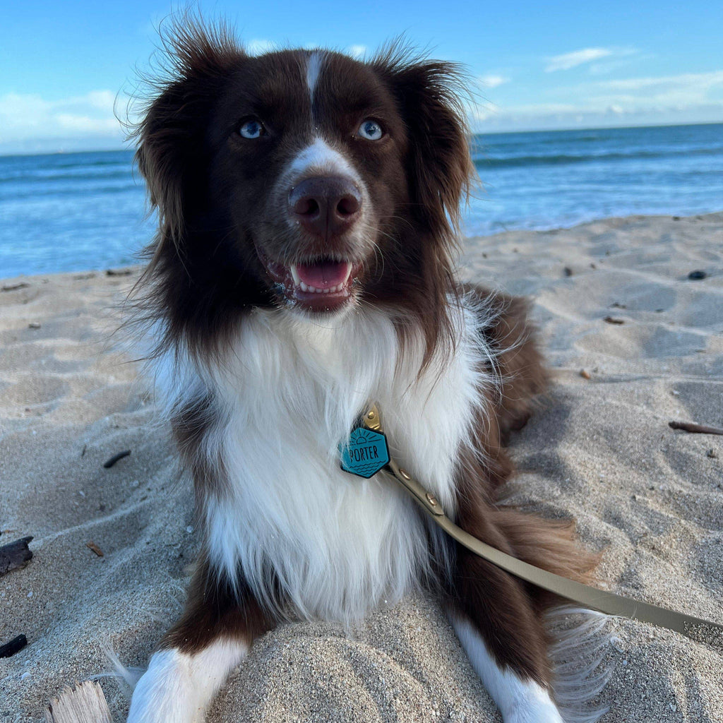 Besties Pets - Celestial Daydream Silicone ID Tag - Dog.Dog.Cat.