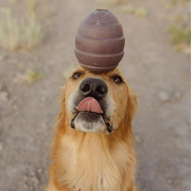 Bark Super Chewer Pup's Treat Pinecone Rubber Dog Toy Brown Large - Dog.Dog.Cat.
