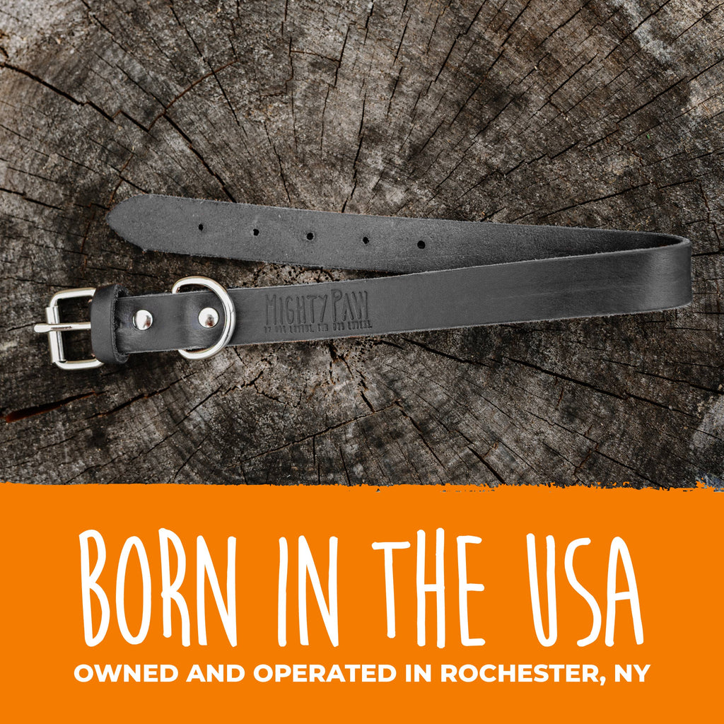 Mighty Paw - Leather Dog Collar - Distressed - Dog.Dog.Cat.