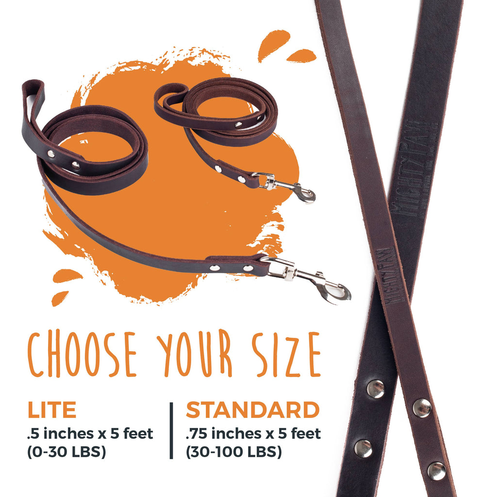 Mighty Paw - Leather Dog Leash (Distressed) - Dog.Dog.Cat.