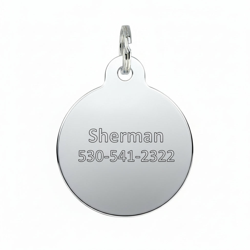 Bad Tags - Funny Personalized Dog ID Tag - Adventure Buddy | Dog.Dog.Cat.