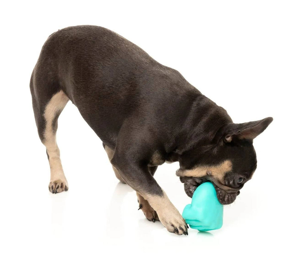 FuzzYard Knuckle Sandwich Dog Chew Toy - Dog.Dog.Cat.