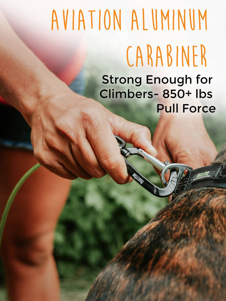 Mighty Paw - 6" Chew Proof Cable Leash - Dog.Dog.Cat.