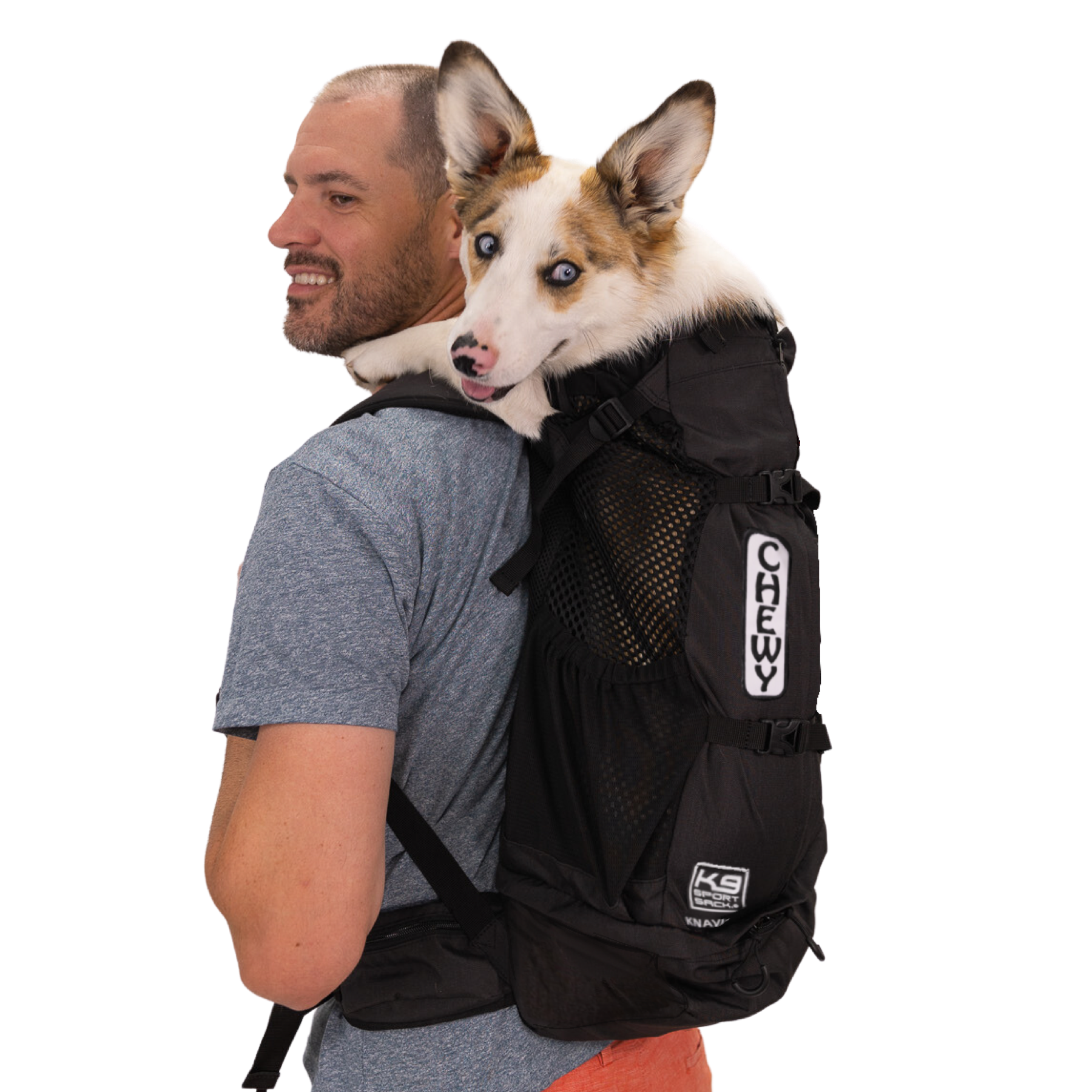 K9 Sport Sack - K9 Sport Sack® Knavigate | Dog.Dog.Cat.