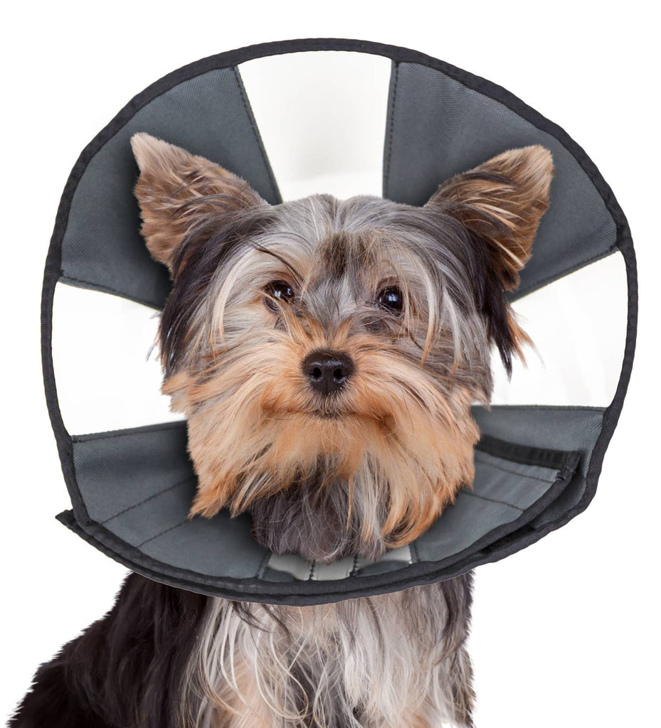 ZenCone Soft Recovery Collar with Windows by ZENPET for Comfortable Pet Healing - Dog.Dog.Cat.