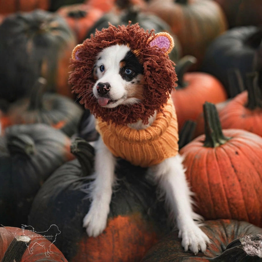 Zoo Snoods -Lion Dog Snood - Dog.Dog.Cat.