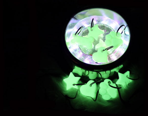 Glow your Pup Up Dog Charm - Dog.Dog.Cat.