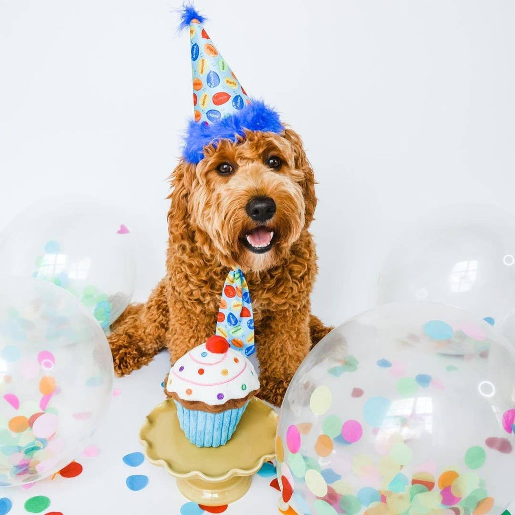 Huxley & Kent - H&K Party Hat Party Time Blue with SnugFit® - Dog.Dog.Cat.