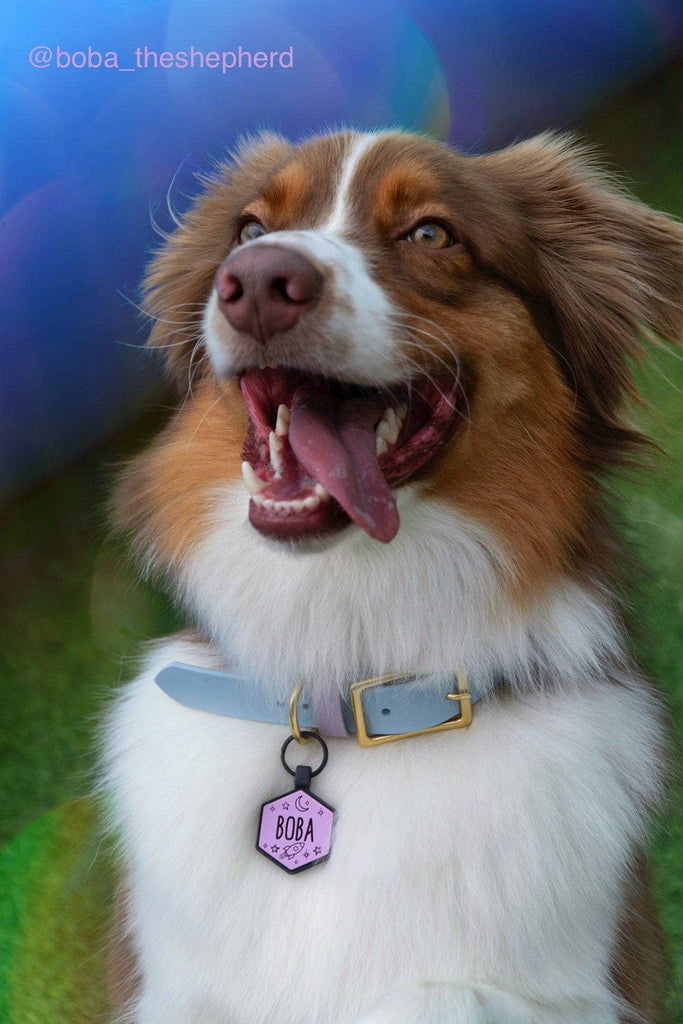 Besties Pets - Space Cadet Silicone Dog ID Tag: Chartreuse - Dog.Dog.Cat.