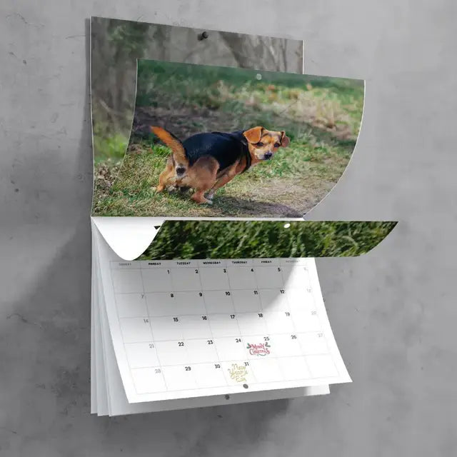 ShutUpAndTakeMyMoney - Cute Puppies 2025 Prank Calendar - Dog.Dog.Cat.