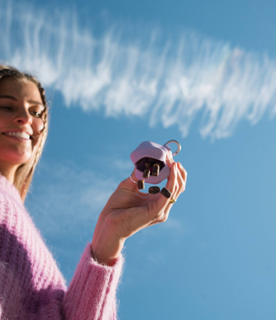 Springer - Silicone Dog Treat Dispenser Pouch - Dog.Dog.Cat.