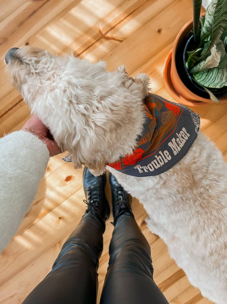 Good Thomas - Trouble Maker Bandana - Dog.Dog.Cat.