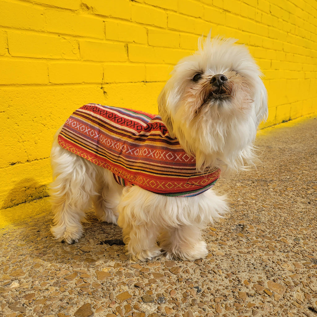 Walking Palm - 100% Hand-Woven Dog Poncho - Salsa - Dog.Dog.Cat.