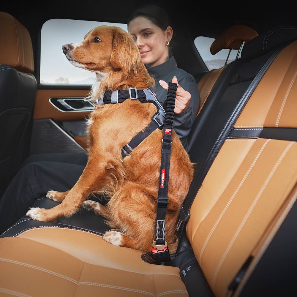 Ezydog Zero Shock Click Adjustable Car Restraint - Dog.Dog.Cat.