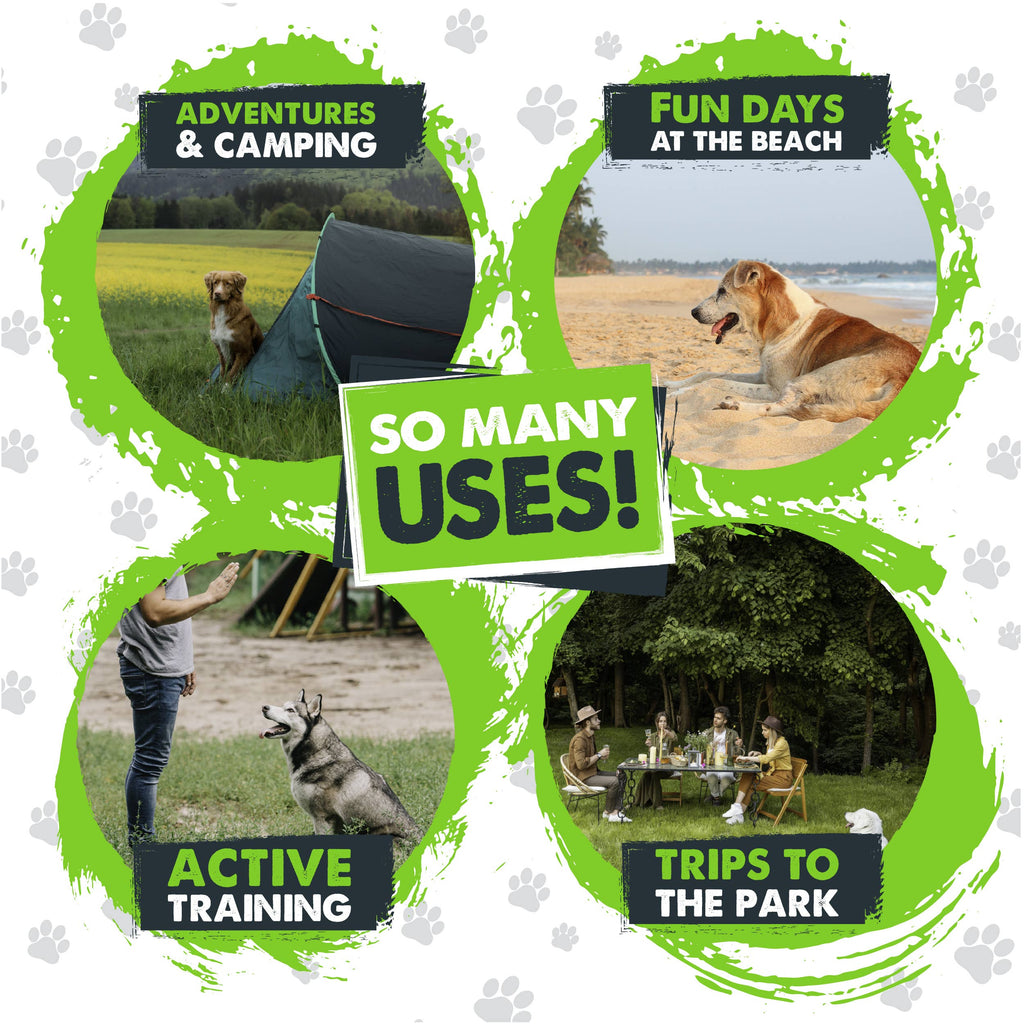 Mighty Paw - Durable Dog Tie Out Stake for Secure Outdoor Play - Dog.Dog.Cat.