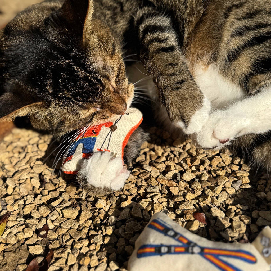 Speckle and Spot by Ore’ Originals - Go Kitty Go Cat Toy Set | Ski Kitty - Dog.Dog.Cat.