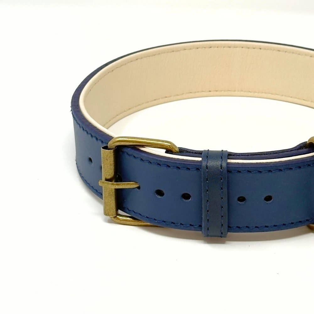 CustomFit – Soft Padded Blue Leather Dog Collar - Dog.Dog.Cat.