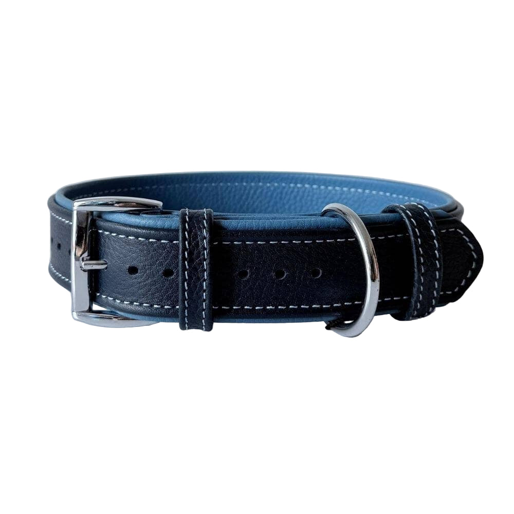 Premium Leather Dog Collar | Navy Blue & Turquoise - Dog.Dog.Cat.
