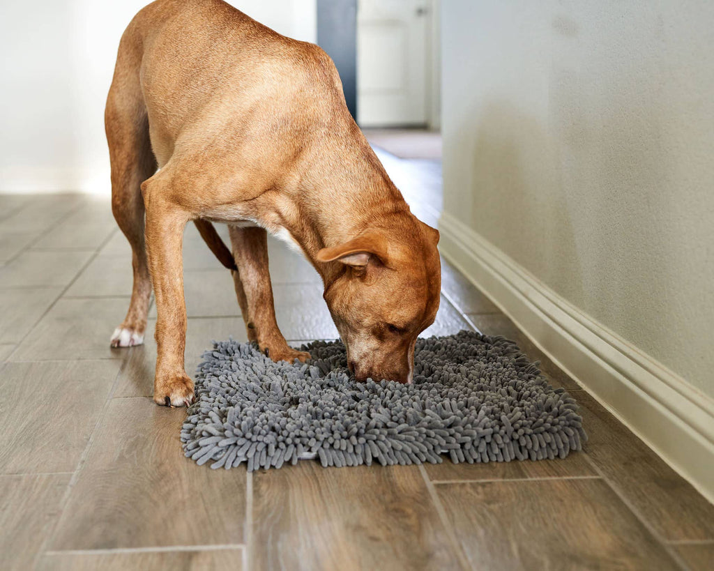 Pet Parents® - Forager® Mat Snuffle Mat for Dogs w/SoftSnout™ - Dog.Dog.Cat.
