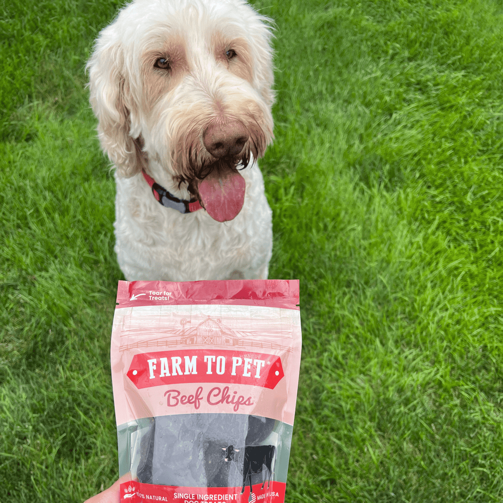 Farm to Pets - Beef Chips Dog Treats - Dog.Dog.Cat.